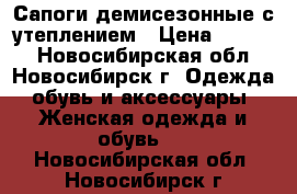 Сапоги демисезонные с утеплением › Цена ­ 2 000 - Новосибирская обл., Новосибирск г. Одежда, обувь и аксессуары » Женская одежда и обувь   . Новосибирская обл.,Новосибирск г.